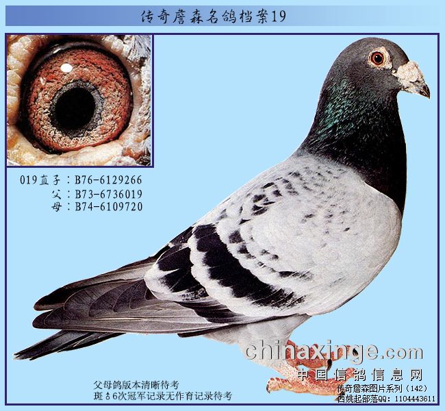 ����ղɭ�����������ۺ�����Ĥ