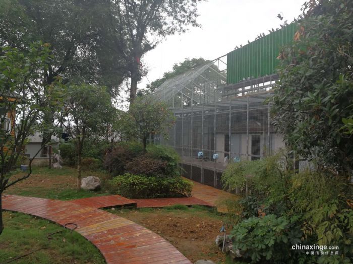 �ι��Ĵ�����������������