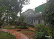 �ι��Ĵ�����������������