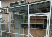 ���Ƽӹ̸��� ����������ֻ��