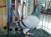 ʮ�����ϵ��ϸ��� �㻹�м���