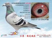 ţ�����ظ���ǰʮ���� ��ظ���ǰʮ����