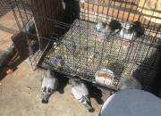 ��񫣡ʱ������������