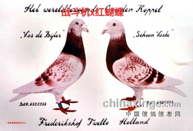 ��筸�ֻ�ܹ��ţ�Ҳ̸��������ԣ�