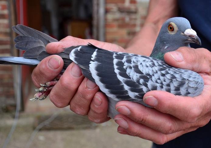 ����˳��߷��� ����³5����ھ��ճ�¯