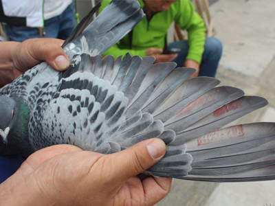 0Ԫ���ĵ��ջ�û�Ϲ���ĸ����ĳ���Ԫ