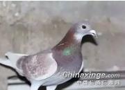 ����ѡ���ס���߾䣡
