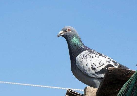 ����������������ѵ����