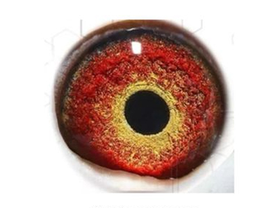 �й���ͣ���� Ϊ�λ�����ŷ�����ҷ�������