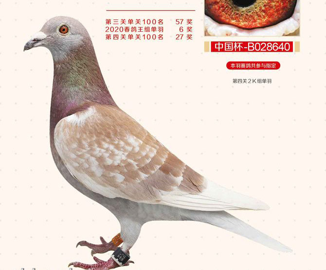 �񽱸������һĨ�� �������ݴ�筡��緶