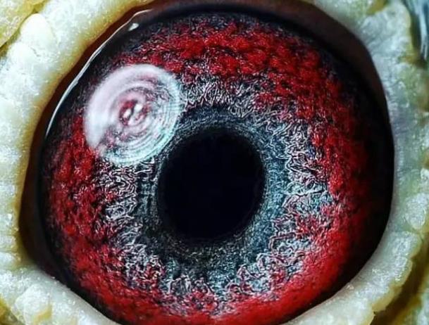 �̾�����۲��ؽ�������������