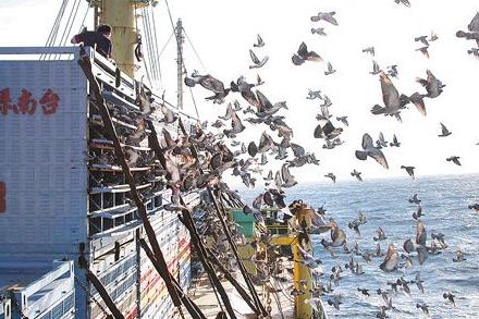 ���ӵ㣺̨�影���ˣ���½���٣�