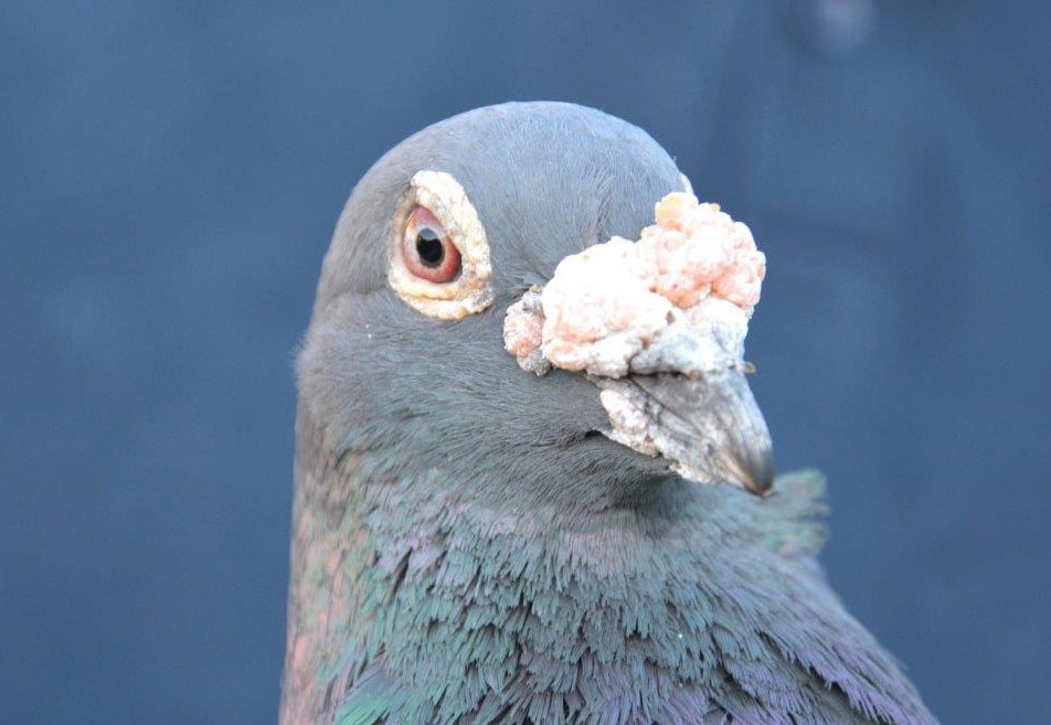 ����ʱ����˹�������ھ���¯ �վ�680����