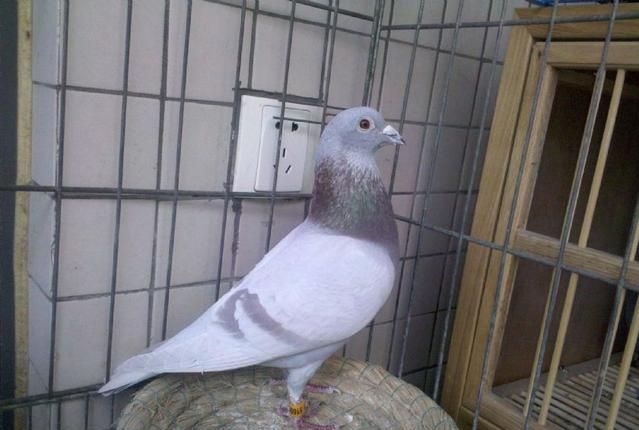 ������� ���Ҫ��һЩ