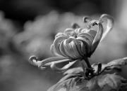 ר������ʹ��������ǰ������������