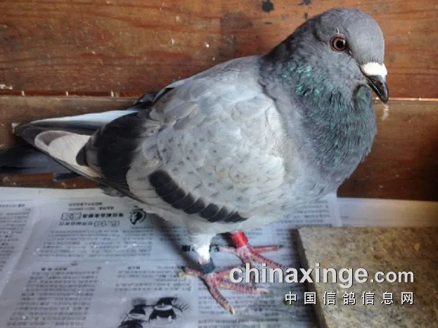 ���� ����Ӫ���Ǵ�����