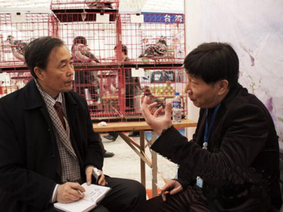 ���Դ����廳����ݺ�ά��������ͼ��