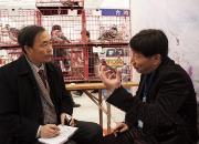 ���Դ����廳����ݺ�ά��������ͼ��