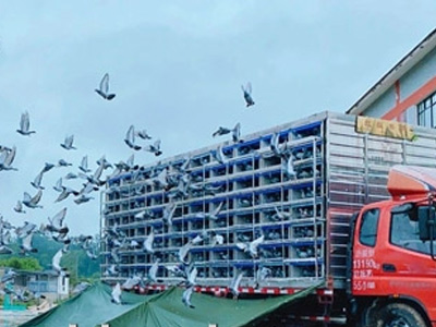 2020�����һ·���ܣ�������ɣ�