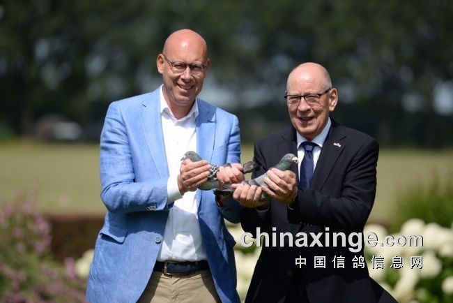 ���ǿ����ٷ��λ����� ������ǧ��ʡ��ǰ����