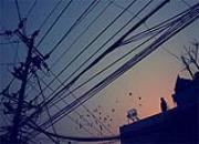 �������Ͼ�������ĸ���