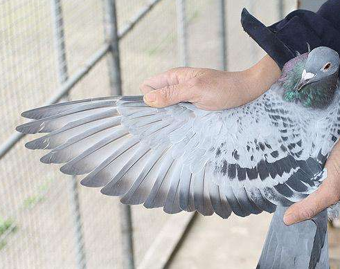 ����ι�ú� ��Ʒһ����ˣ�