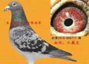 �����޵��������� ��������ط���