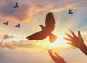 �Ŵ�ү�Ľ����Ÿ�