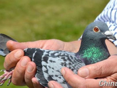 ���𲻵�2000�İ���Ϊɶ��ô��