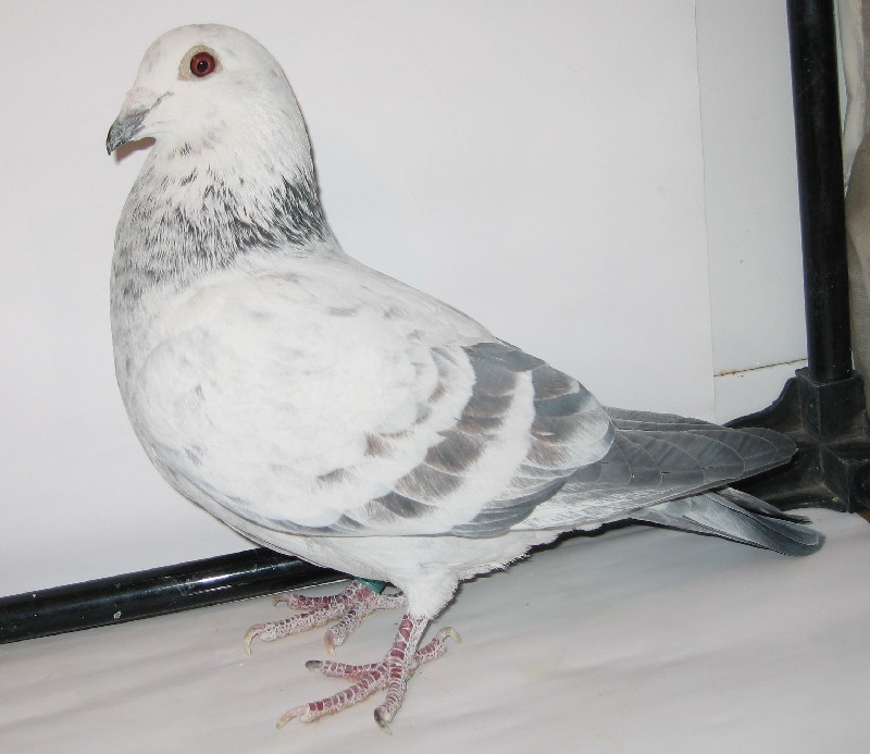 ������ռ�Ŀ����ʲô��