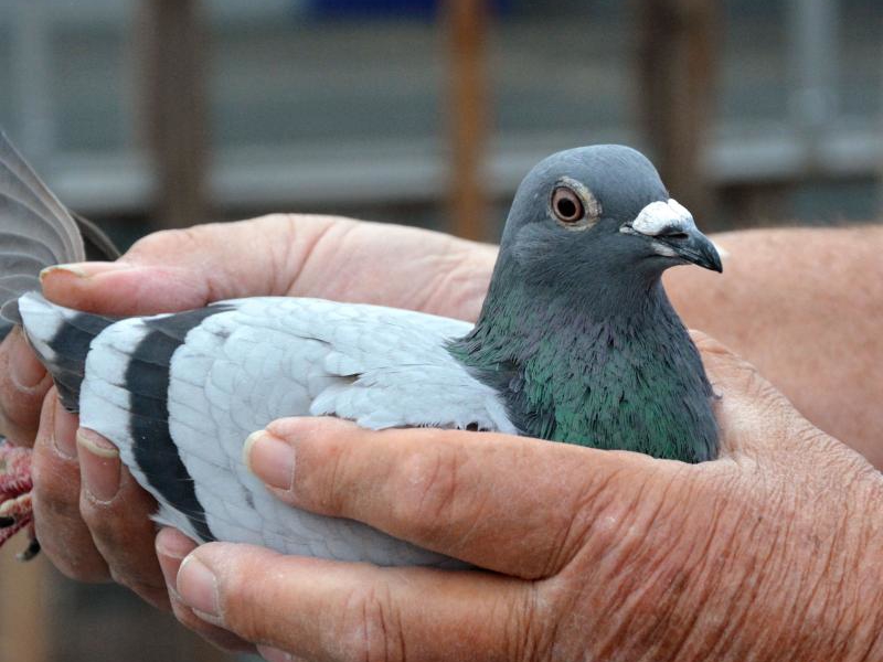 �������3�������� ���ùھ��������ȿ�