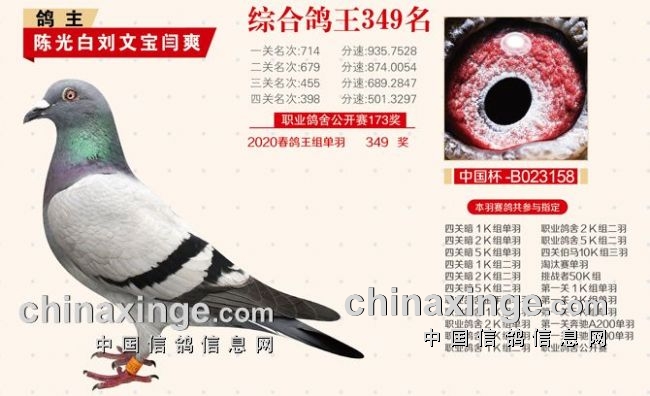 ������ô���£������򿪴������ӡ����ס����¼�