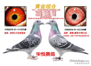 �������ļ���ƽ���� ������