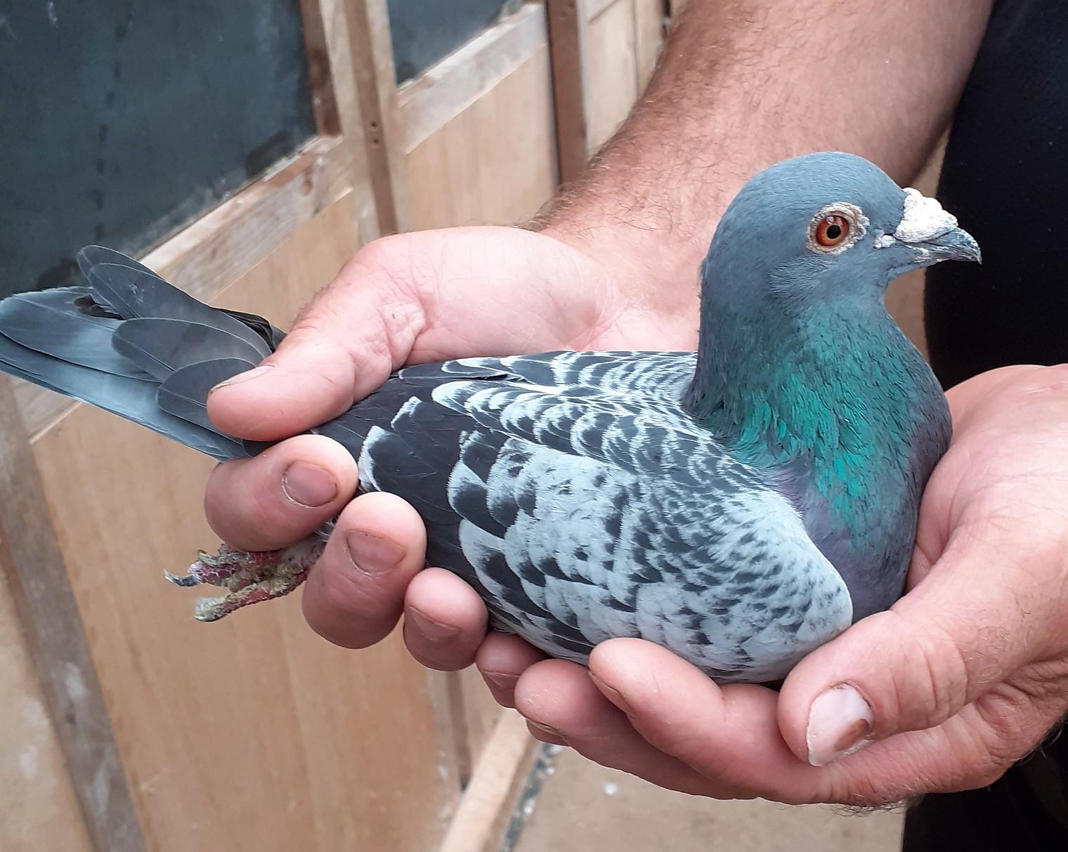 ���ù������������ھ�����ɫ����㡱�������