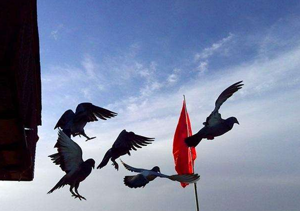 �����ġ���Զ�̡��ҷ�