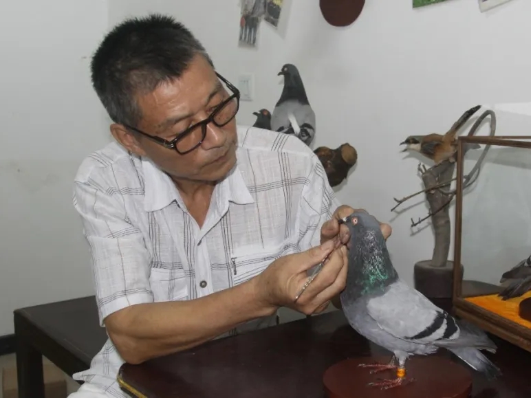 �÷����ȸ��ѻع��� �׾�����������걾