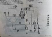 ����������������˹Ѫͳ��