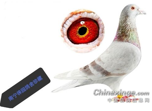 ���������Ʋ��ϴ���ģ�