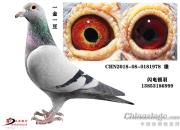 ����ʱ�����񻰣�ʷ����˹Ѫͳ������