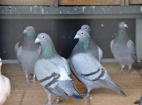 ���ֹ������ɸѡ ������Щ������