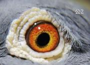 �����ָ��� ���һ����Խ���