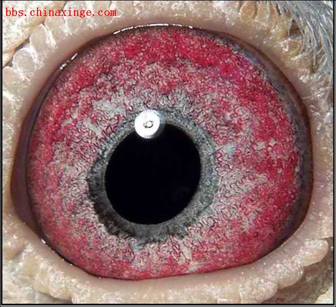 ����������û���ã�