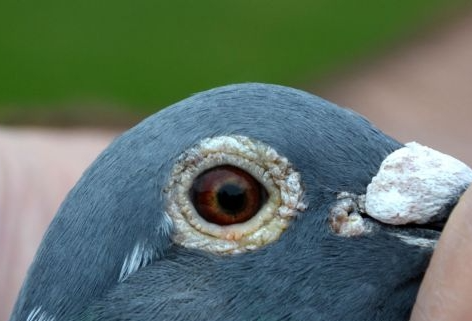 ŷ���ھ����� ���ҹ��ĳ��������к���ͬ