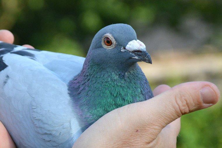 ���滷ɽ���Ѷ� �������˻����¶�ھ�