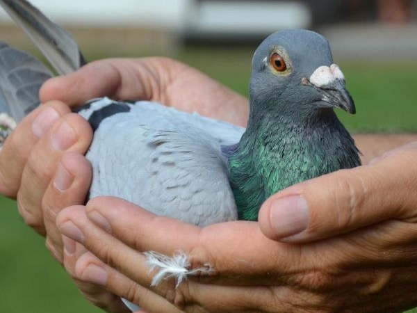 �½��㣡��ƿ�ϵֱ���ɱ�˫�ڣ�