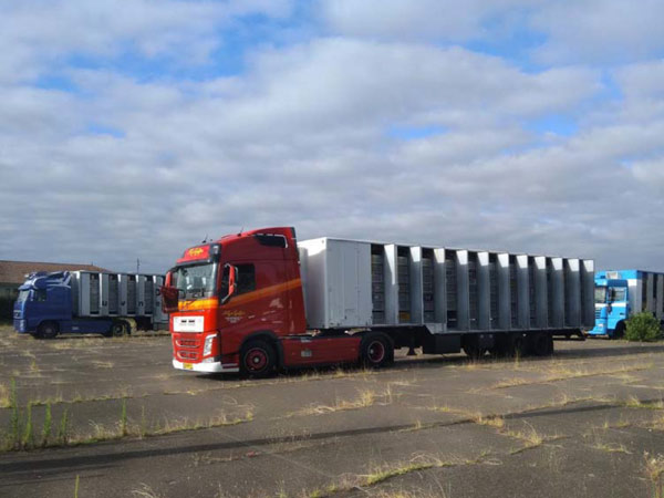 ��ƿ˿�ս��³�� ���11464��������