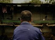 ����50�� ����Ǹ��ӵ����� 