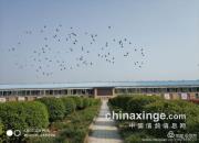 ���ӵ㣺������ո������°�̬��