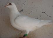 �϶���������������Щ����·��