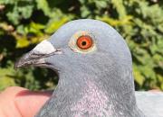 ���ǿ����λ��������� ����NPO�񽱸�����